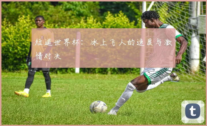 短道世界杯：冰上飞人的速度与激情对决