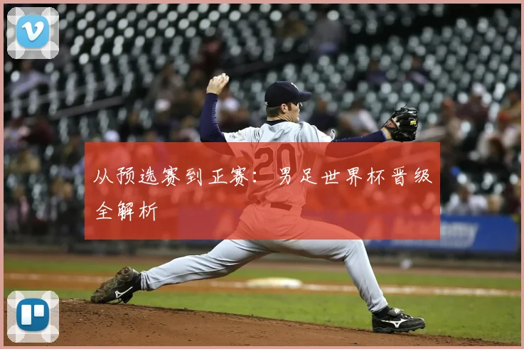 从预选赛到正赛：男足世界杯晋级全解析