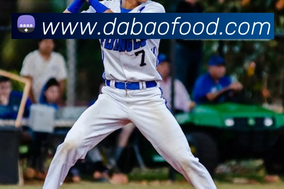 App Interface Preview